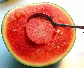 吃网纹瓜嘴巴麻木,一尝便知,为何吃后嘴巴会麻木?