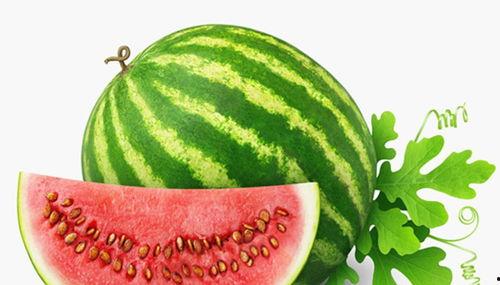 吃瓜降温图片大全,吃瓜降温，趣味图片大盘点