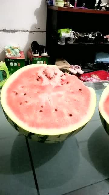 吃瓜降温图片大全,吃瓜降温,趣味图片大盘点