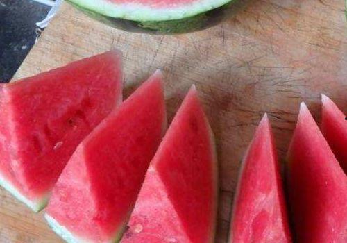 吃瓜粘虫子的,揭秘吃瓜粘虫子的神秘现象