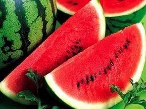 不会吃瓜,拒绝吃瓜,守护心灵净土