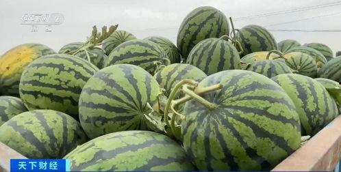 新闻吃瓜网,揭秘娱乐圈最新热点,带你领略幕后真相