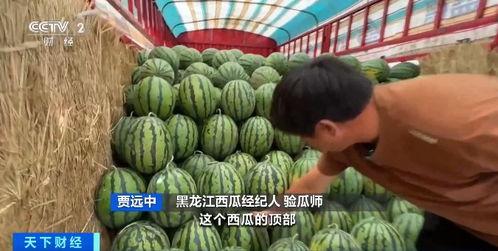 外企吃瓜,揭秘职场“吃瓜”背后的真相与启示