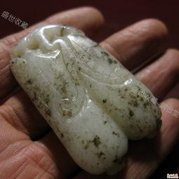 晚上吃白玉瓜,营养美味,健康养生新选择