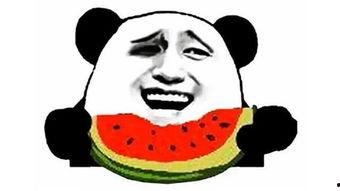 吃瓜有趣群名,揭秘网络社交圈的欢乐盛宴