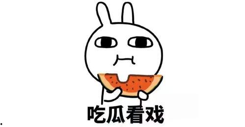 进群吃瓜bili,一场网络社交的狂欢盛宴