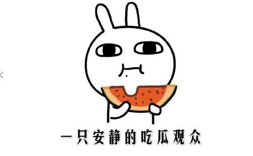 吃瓜方式的意思,一场全民参与的娱乐盛宴