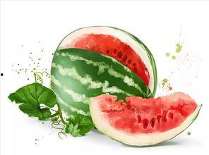 外卖在吃瓜,揭秘美食背后的故事