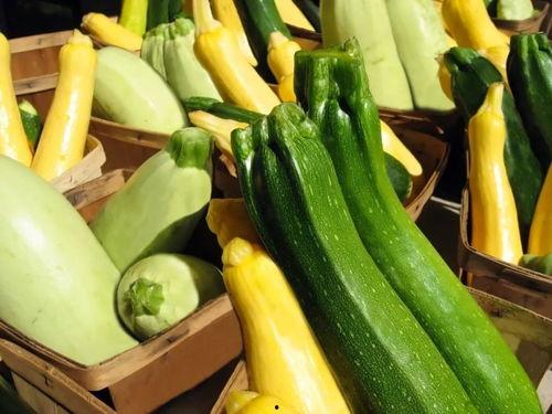 169吃瓜网,揭秘娱乐圈最新热点,带你畅游八卦海洋